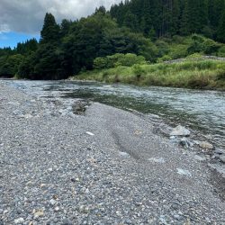 安曇川朽木漁協区