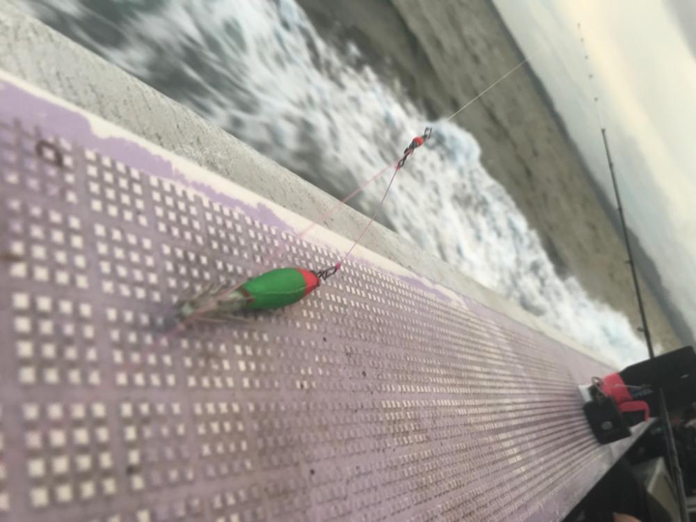 淡路デイイカメタル