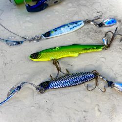 リアル魚鱗頼みにゃ!