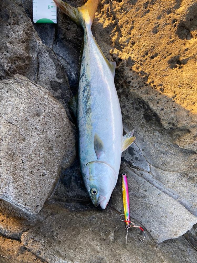 京丹後エリア　ショアジギング