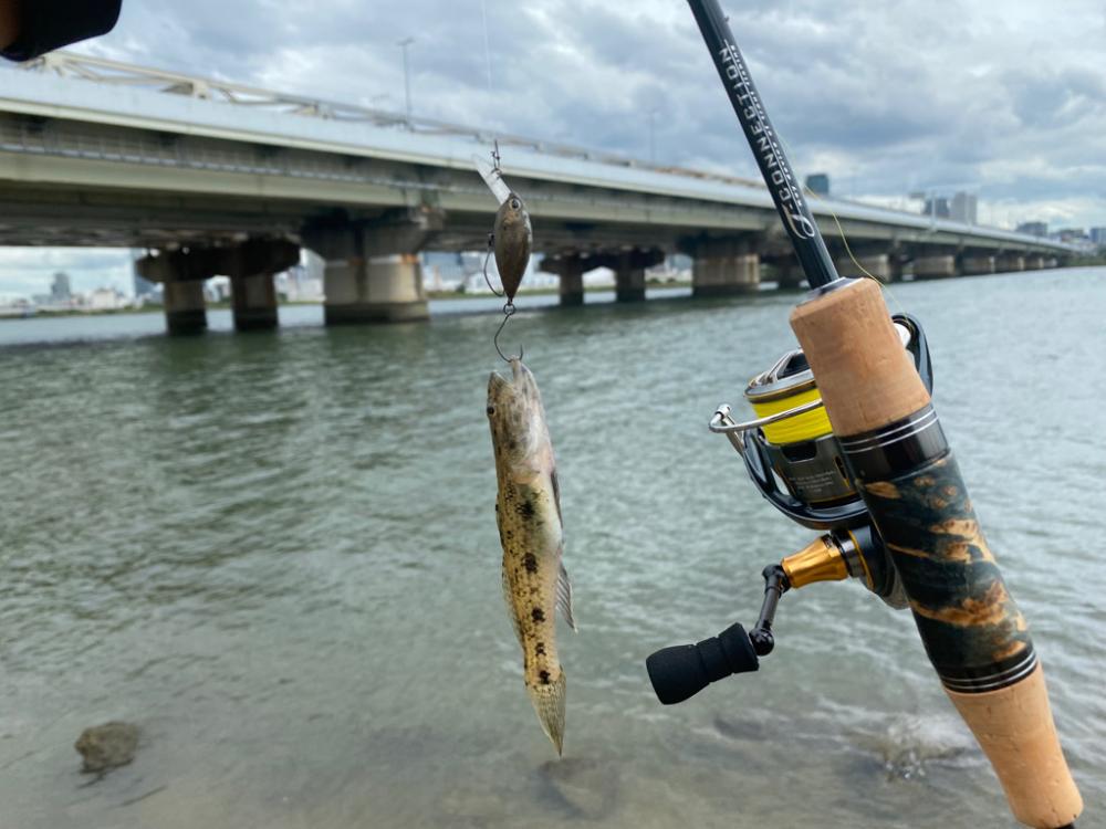 ハゼクラとチニング