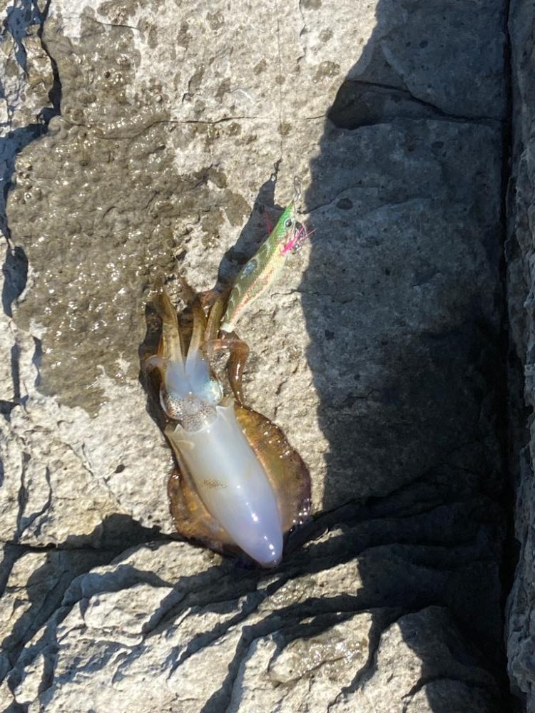 少ない、小さい