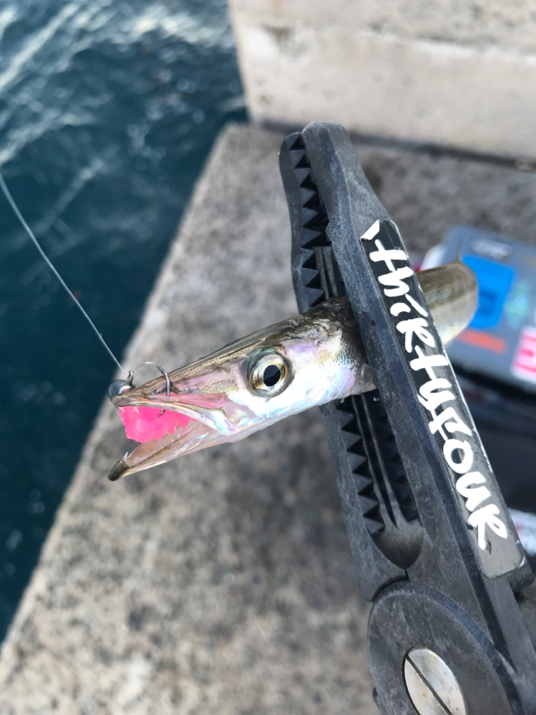 猛暑ヤバない⁉️