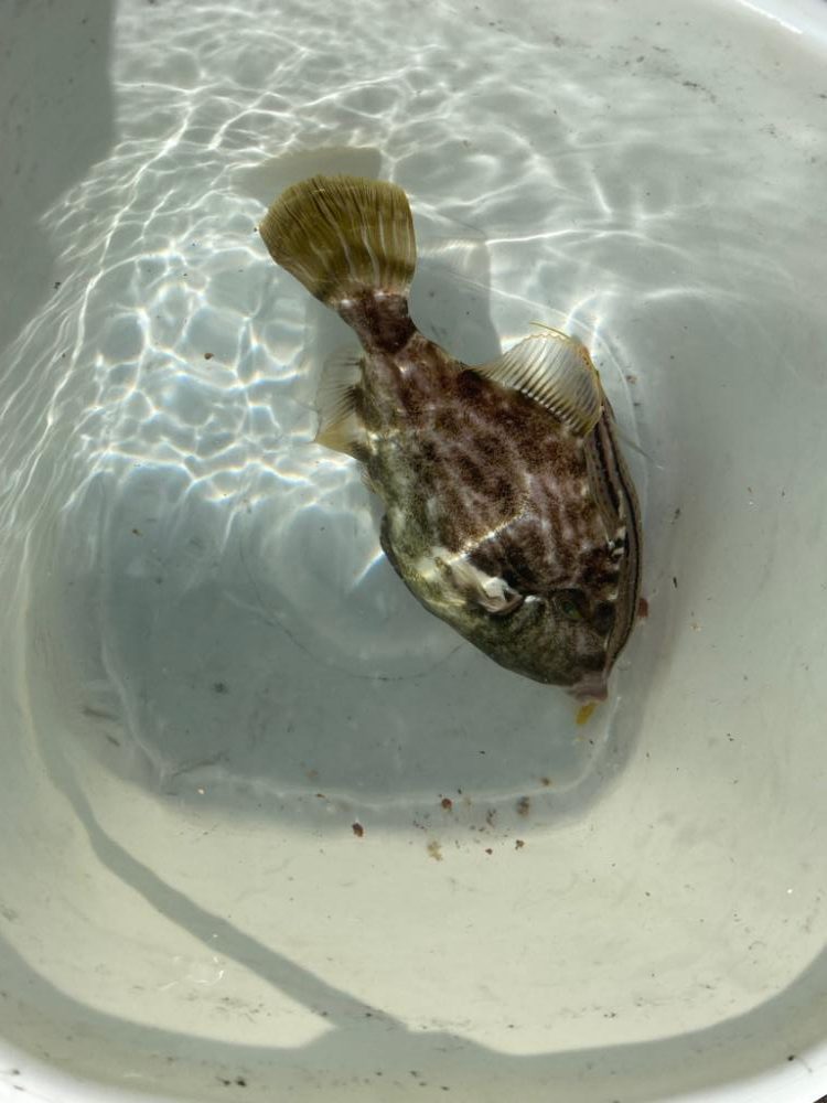 ファミリーフィッシング