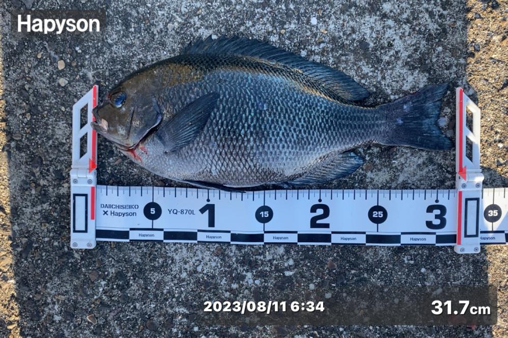 朝方から釣り始め