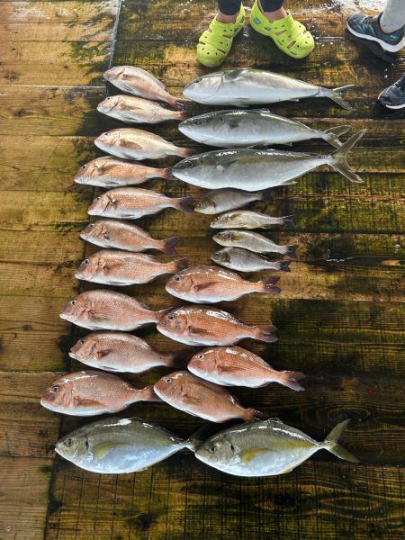 あなたに逢い鯛釣り堀