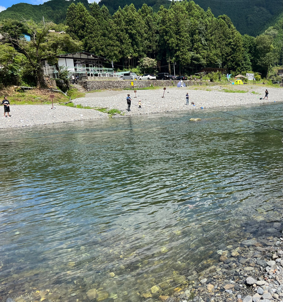 多摩川で放流マス釣り