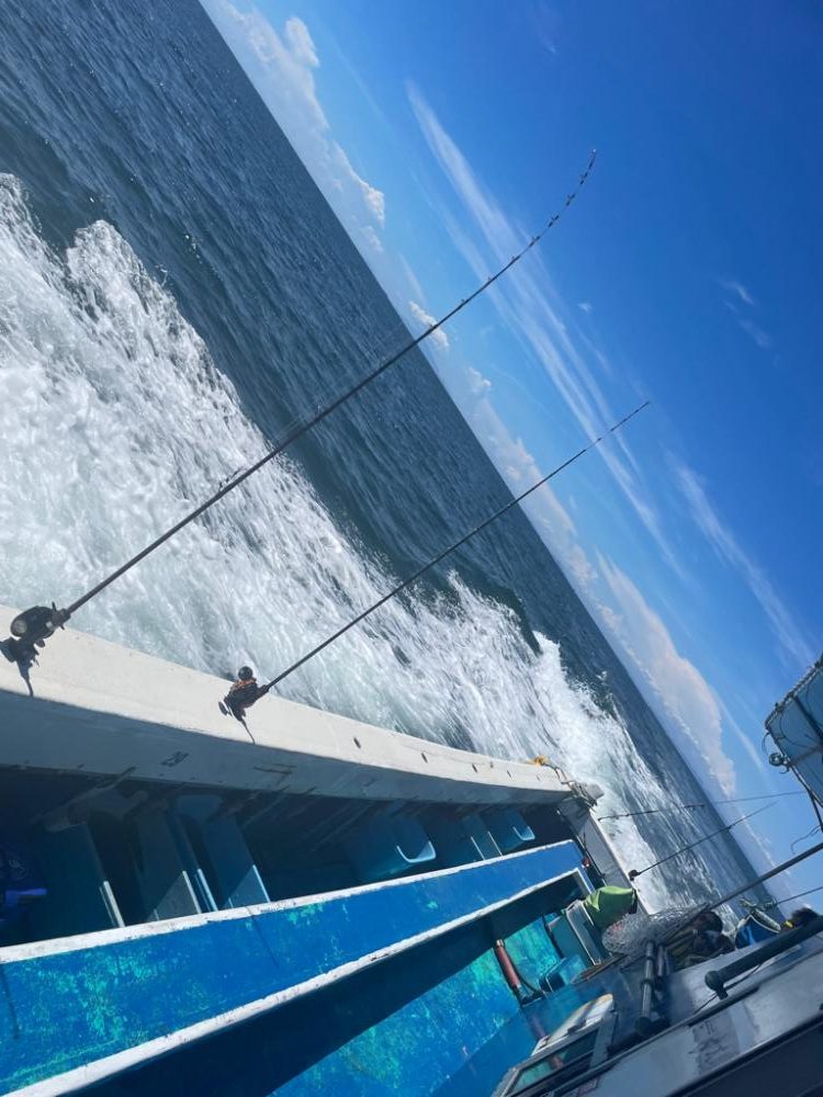 今年最後の船タコ