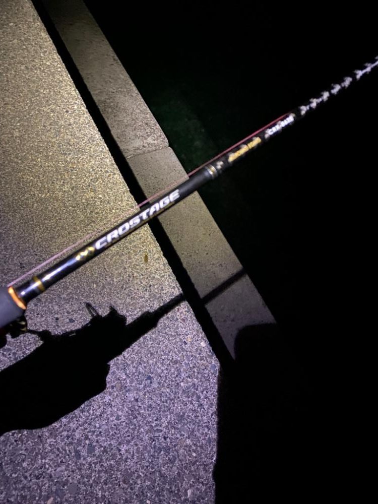 短時間エギング