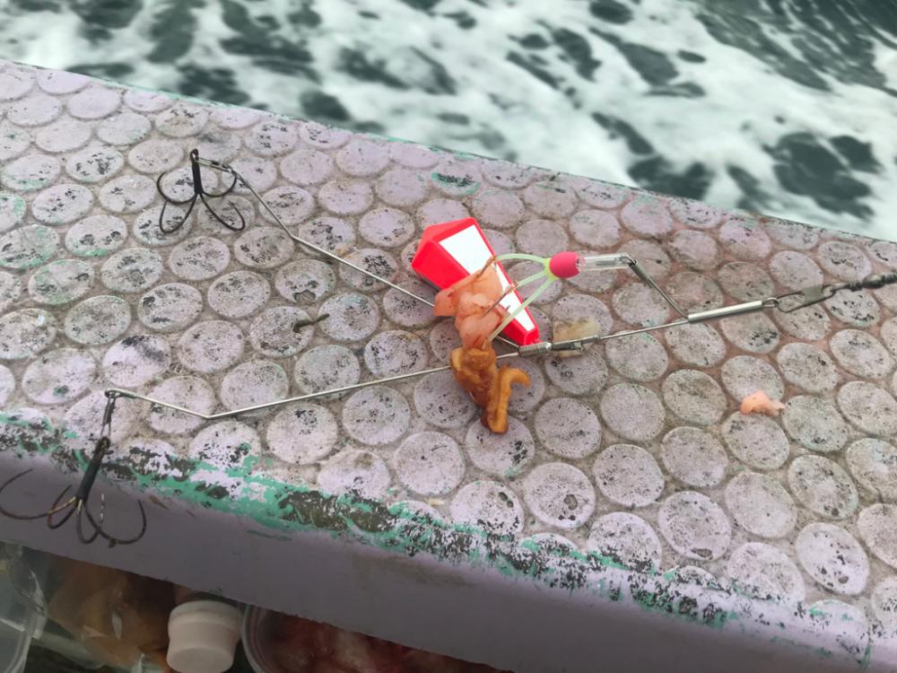 栄真丸カットウフグ