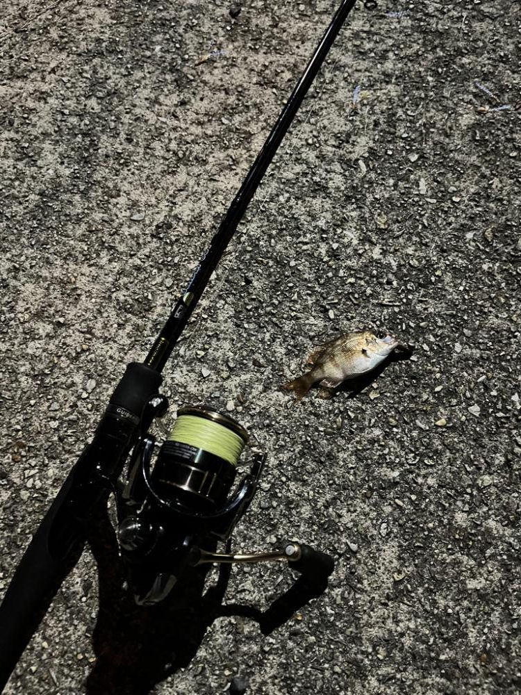 台風後の垂水漁港