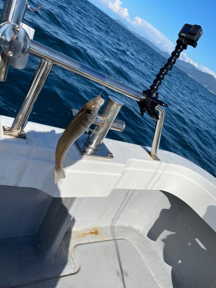 ボートでキス釣り