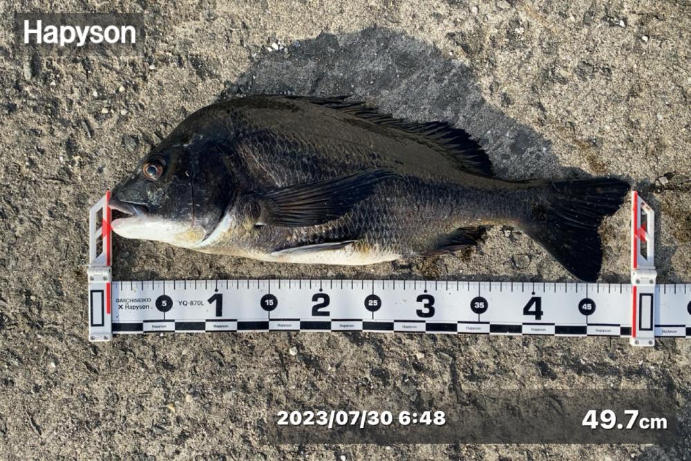 釣り開始から釣れ始め