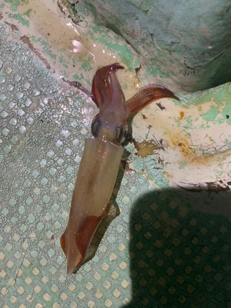 間違いその1その2