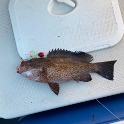 友人のプレジャーボート釣行