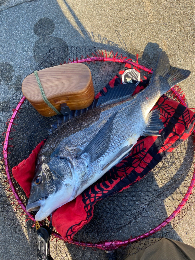 ヘチってきました