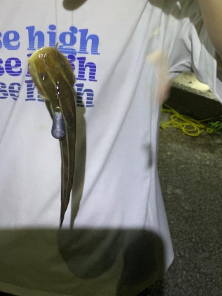 夏休み最後の魚釣り