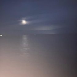 風が強すぎて…