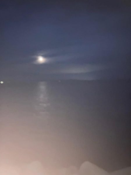 風が強すぎて…