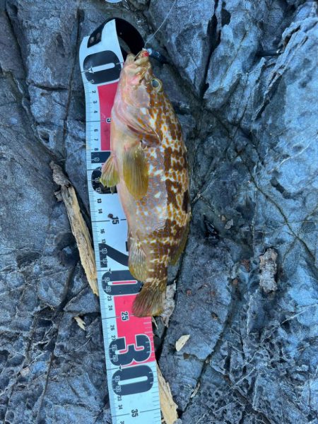 小浜ライトゲーム