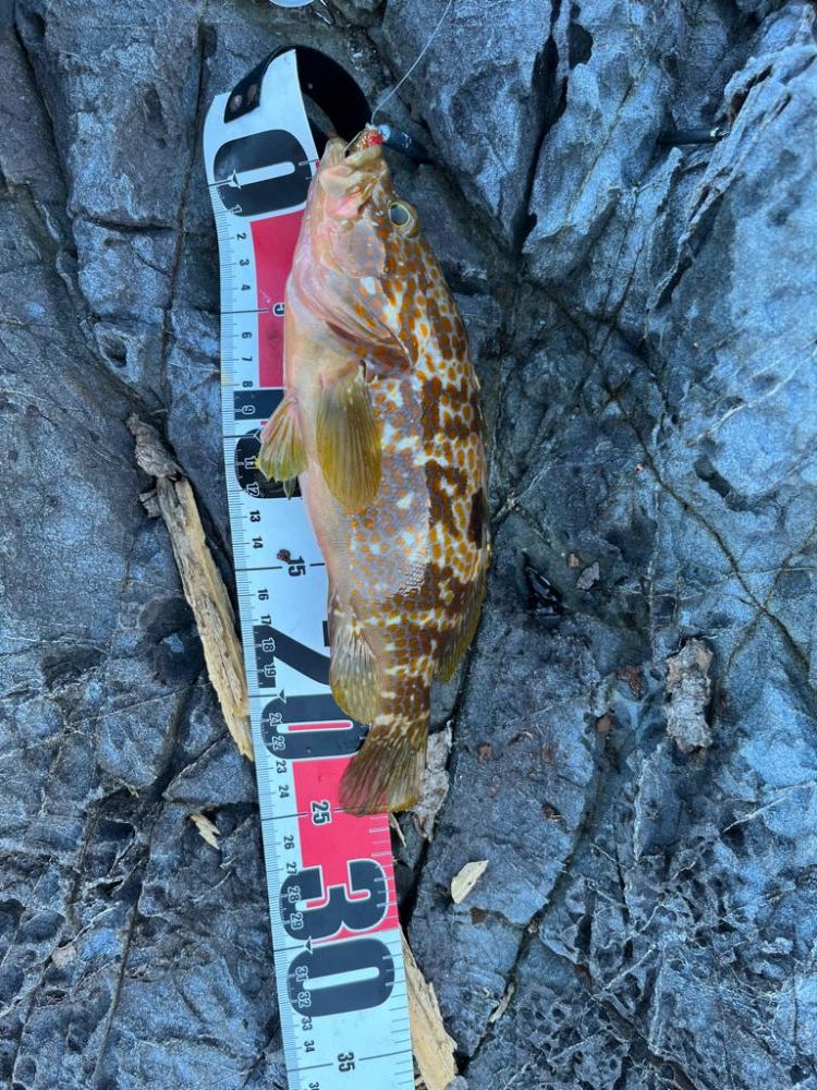 小浜ライトゲーム