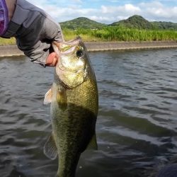 台風後の遠賀川🐟
