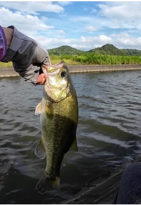 台風後の遠賀川🐟