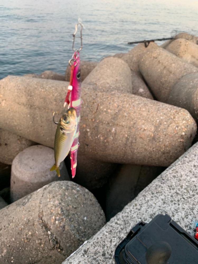 逃した魚はでかい