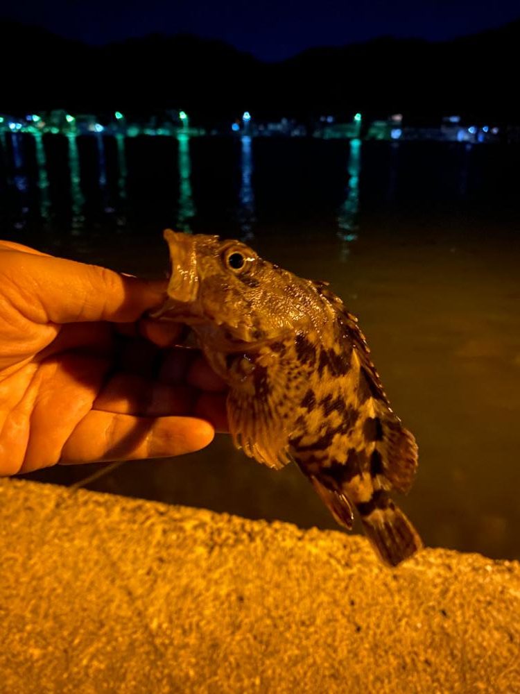 五目ガルプゲーム