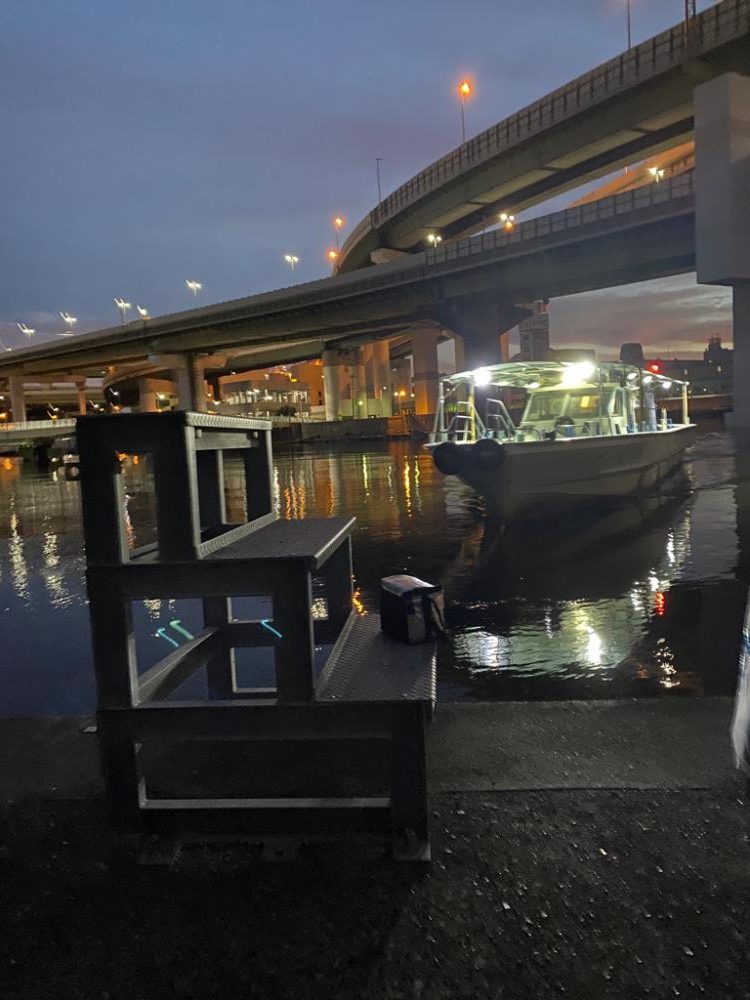 タチウオジギング