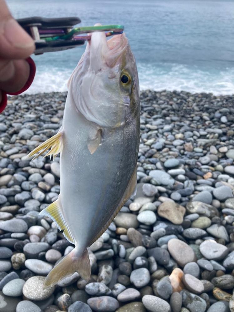 ショアジギング