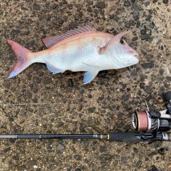 スキマ時間にタイ