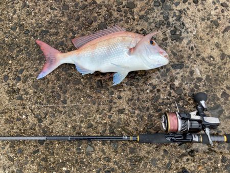 スキマ時間にタイ