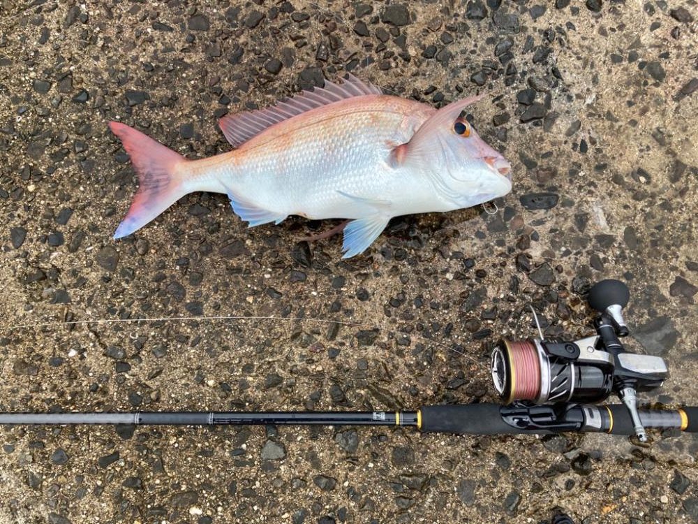 スキマ時間にタイ