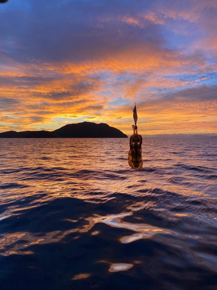 新子成長中です。