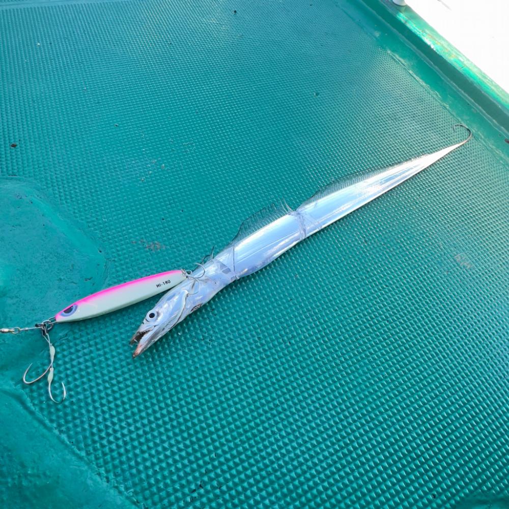 タチウオ/タチウオジギング