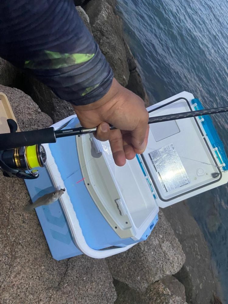 ちょい投げシロギスタの時短夕まずめ