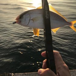 残猛暑が続く中…🥵…