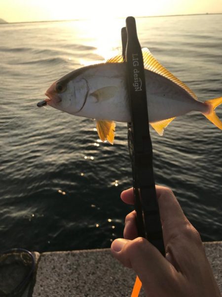 残猛暑が続く中…🥵…