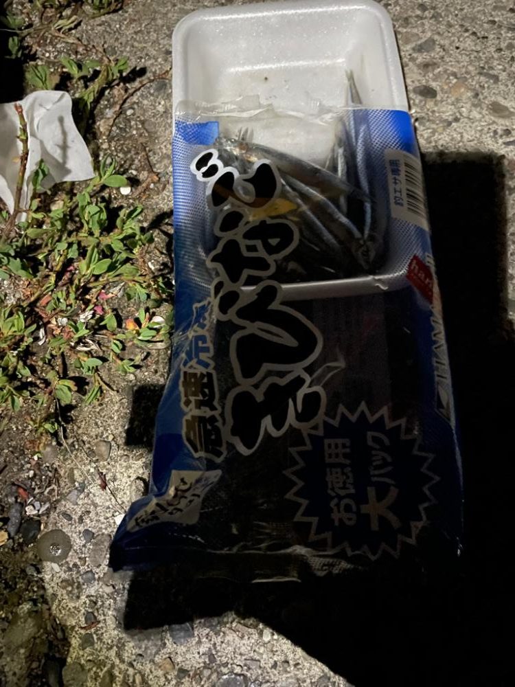 今年初の太刀魚釣行