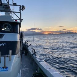 イカメタルin大分