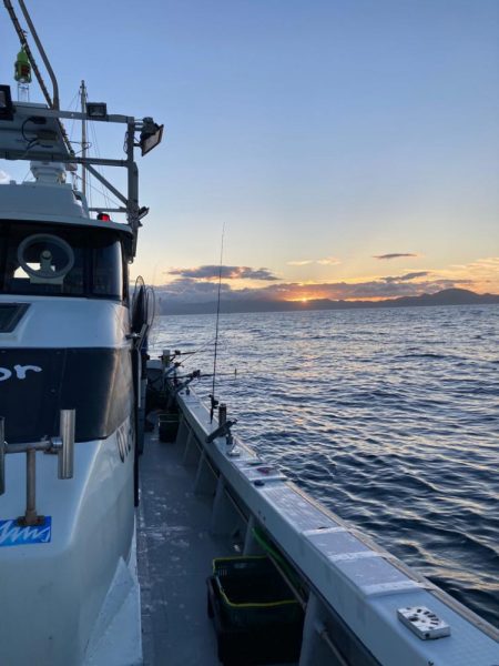 イカメタルin大分