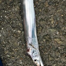 台風前の一太刀