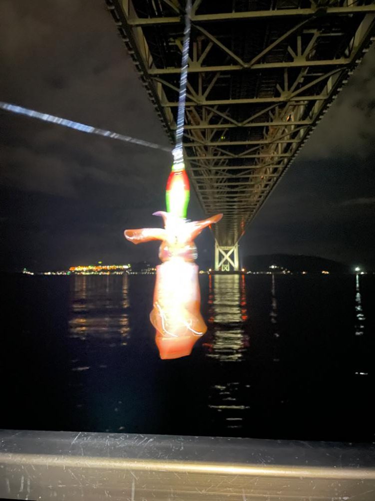 楽しめました^_^