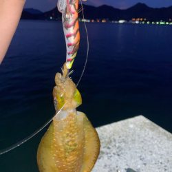 仕事終わりエギング！