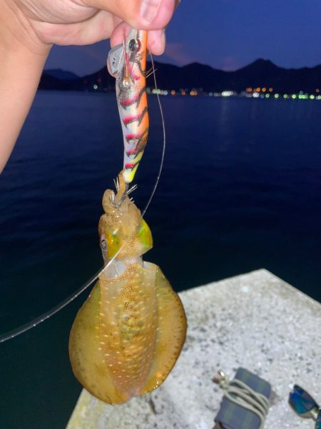 仕事終わりエギング！