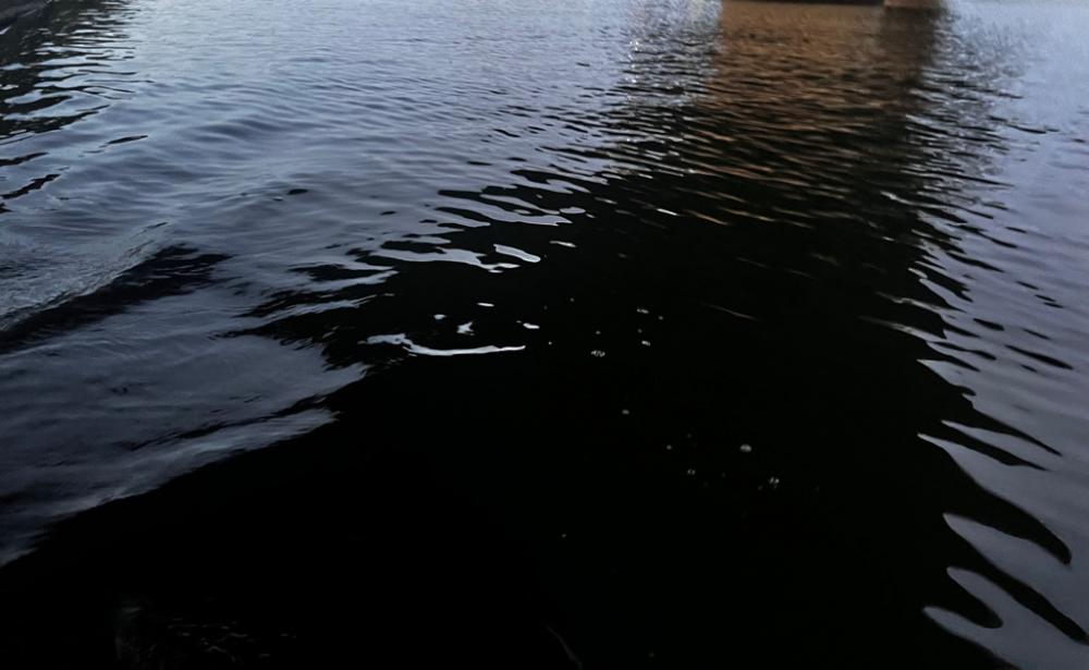 いなっこパターン