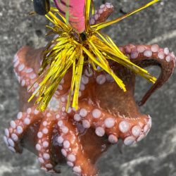 カニパワー‼️、、、