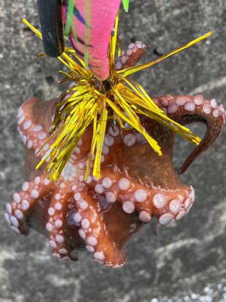 カニパワー‼️、、、