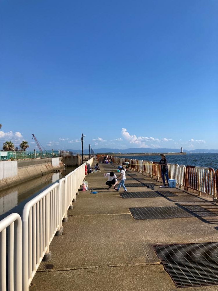 息子とサビキで